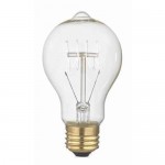 Edison Vintage Dekoratif Rustik Klasik Büyük Armut Ampul Sarı Işık 40 Watt